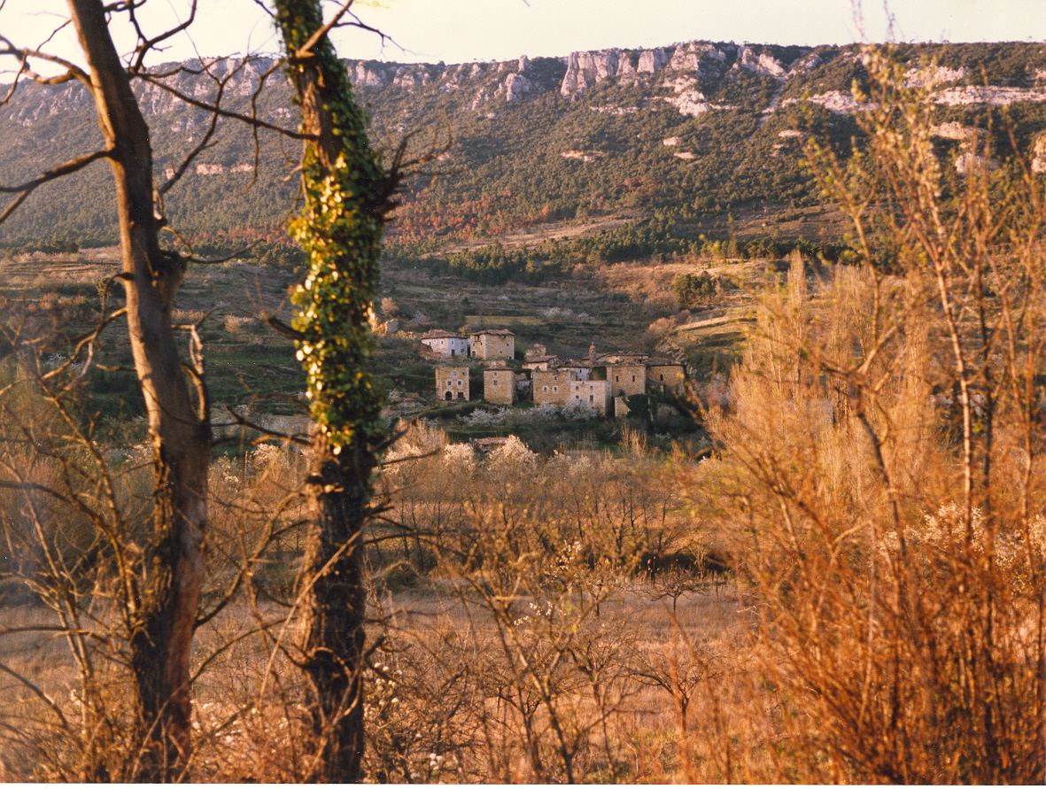 Casas del barrio de Tamayo
